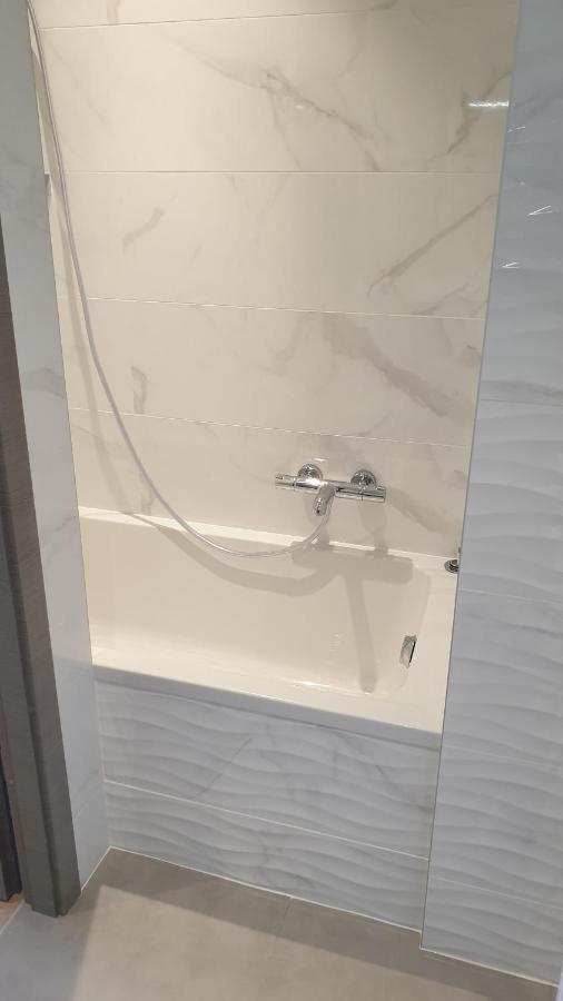 Appartement Laudon 塞夫里耶 外观 照片
